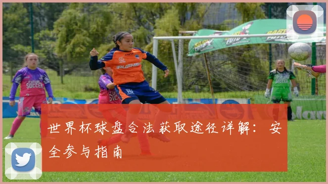 世界杯球盘合法获取途径详解：安全参与指南